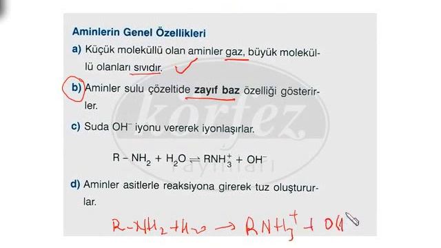 YGS-LYS Fonksiyonel Gruplar 13 Bolum  -  DersUP.com