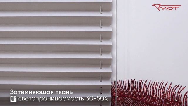 Шторы плиссе_ система День_Ночь COSIFLOR F3
