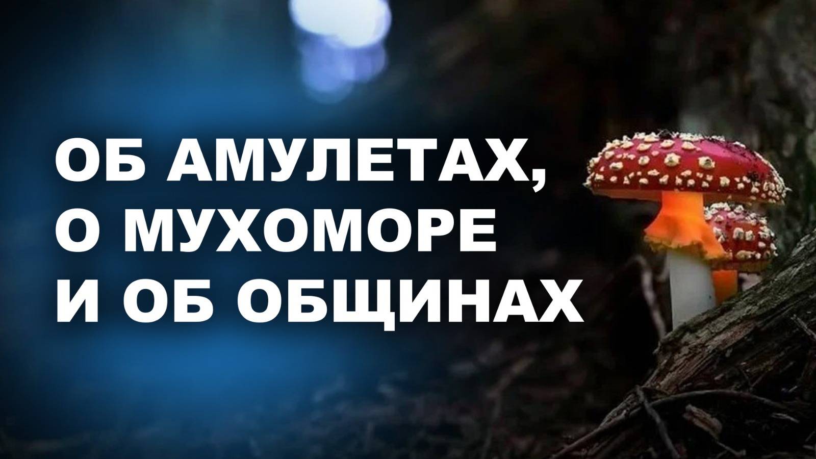 ОБ АМУЛЕТАХ, О МУХОМОРЕ И ОБ ОБЩИНАХ