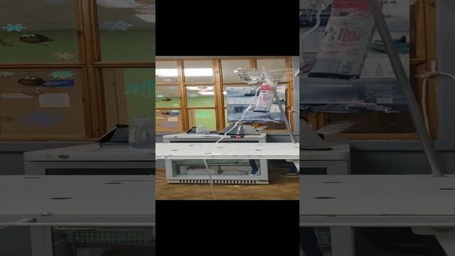 #shorts Думали обойдёмся, ан нет... Снова ветеринарка.. Обследовали - ничего не нашли....