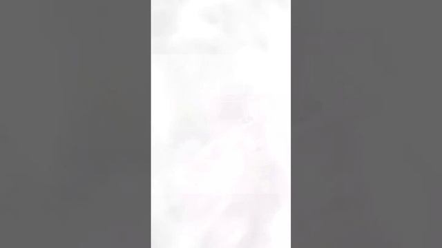 NIVASIK63
