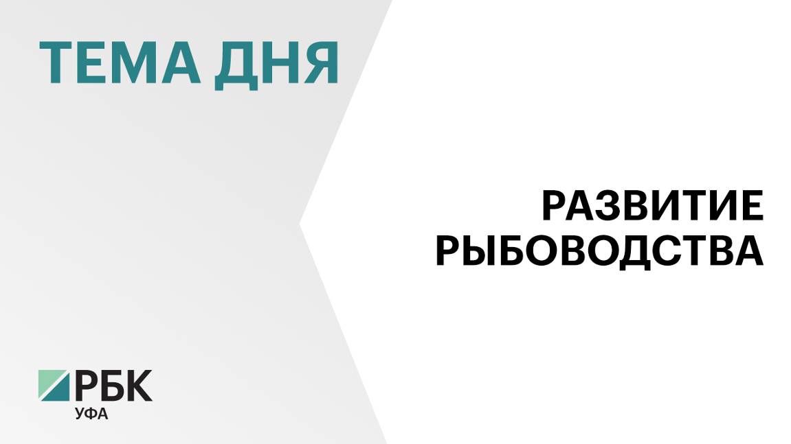 Рыбоводческим хозяйствам Башкортостана выделят ₽30 млн субсидий