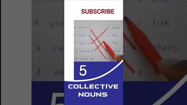 collective nouns | #vocabulary  #learnenglish