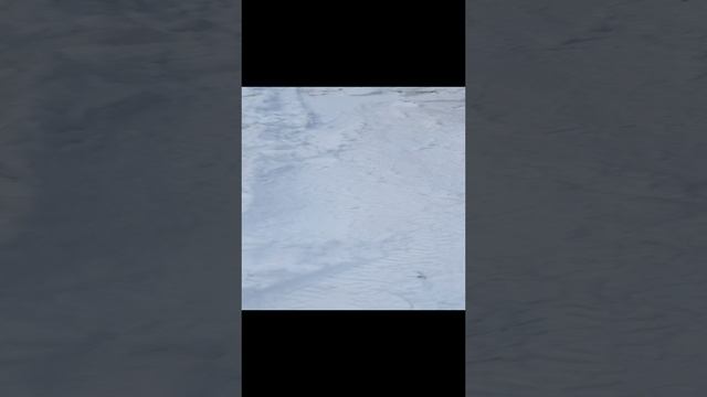Репортаж