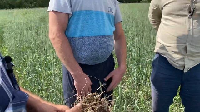ПРАВИЛЬНАЯ Глубина Заделки Семян ПШЕНИЦЫ!! Макогон А.В. Родинский р-н.
