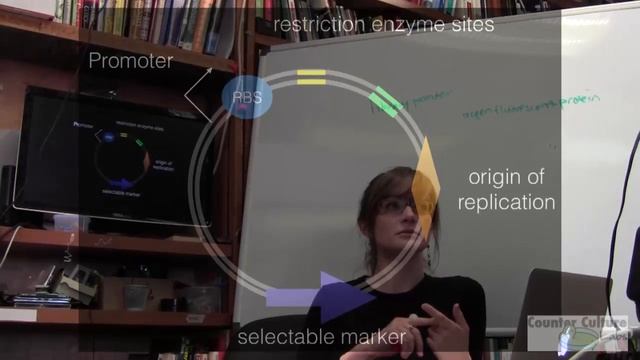 Synthetic Biology with Nina DiPrimio