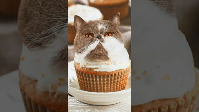 ВЫМЕРШИЕ ВИДЫ КОТОВ ПОСМОТРИ ЭТО ВИДЕО!!!!!