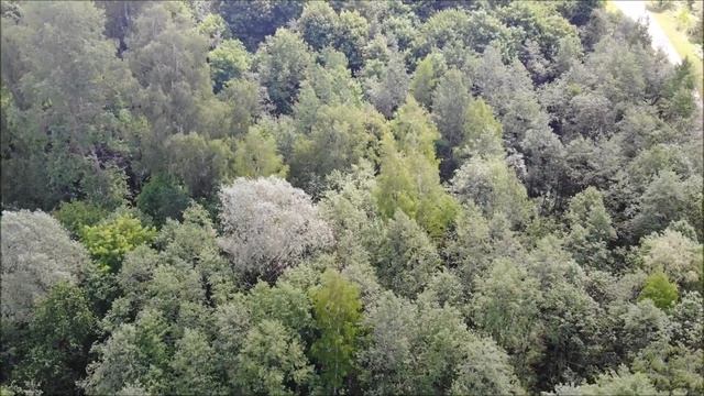 Поход на Федькину реку