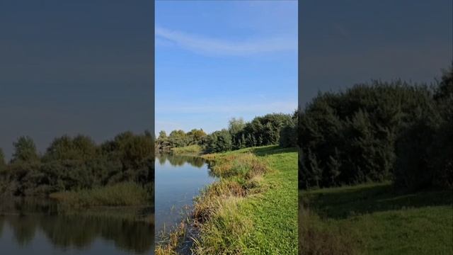 рыбалка 🐟 в живописных местах Ярославской области России