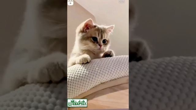 мы стараемся