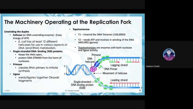 Topic 3-- Replication of DNA in Prokaryotes