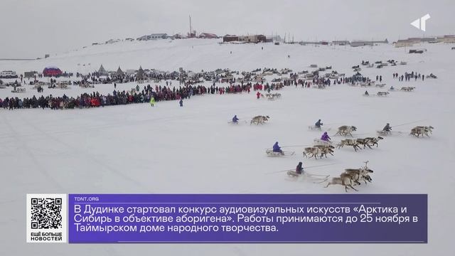 ДАЙДЖЕСТ «СЕВЕРНОГО ГОРОДА», 13.11.2024