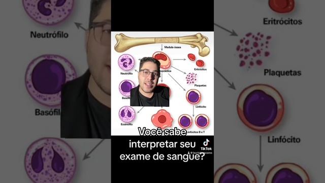 CÉLULAS DO TECIDO HEMATOPOÉTICO