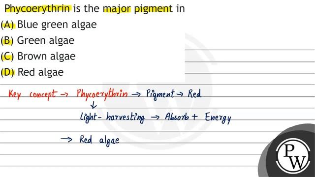 Phycoerythrin is the major pigment in
(A) Blue green algae
(B) Green algae
(C) Brown algae
(D) R...