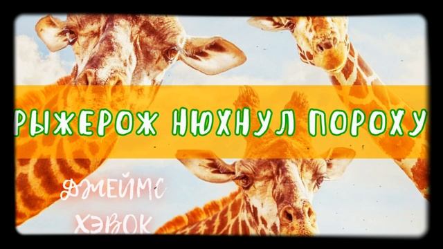 РЫЖЕРОЖ НЮХНУЛ ПОРОХУ - Джеймс Хэвок | АУДИОКНИГА