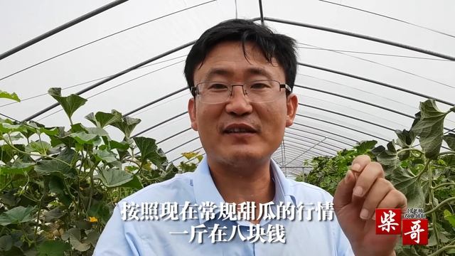 【ENG SUB】南瓜吊着生长，虽然长的奇丑无比，但甜度超级高！【付老师种植技术团队官方频道】