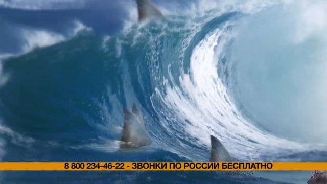 Элион - Помощь кредитным должникам