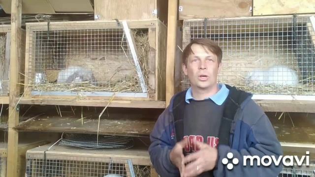 Карантин для кроликов. 
Карантин для кроликов  
Карантин для кроликов. Нужен или нет.