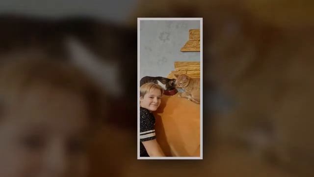 слайд шоу