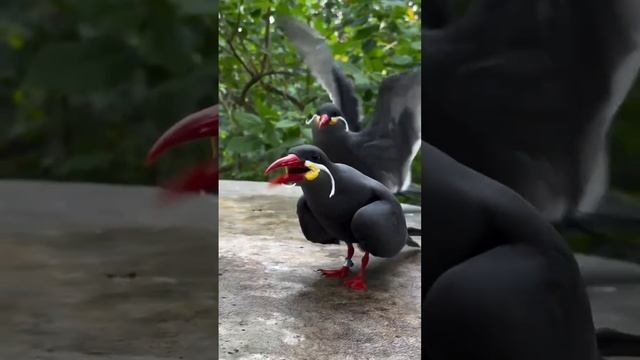 1000003606.mp4