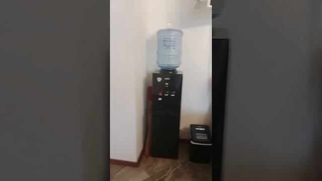1000008943.mp4