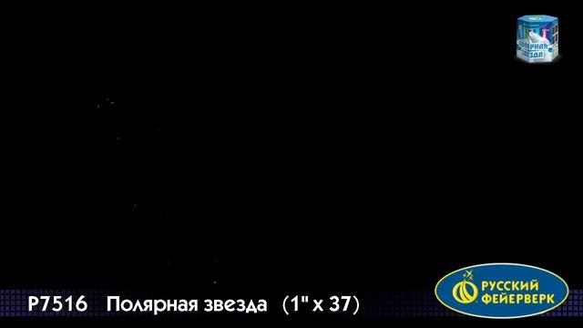 P7516 Полярная звезда (1Х37)