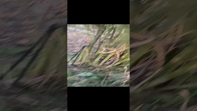 Хочешь любуйся, а хочешь ешь.