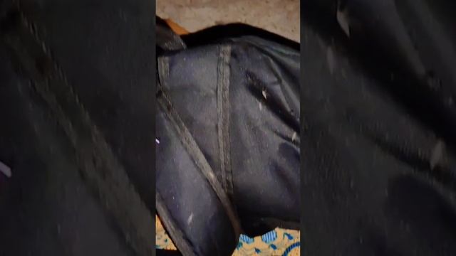 Сколопендра