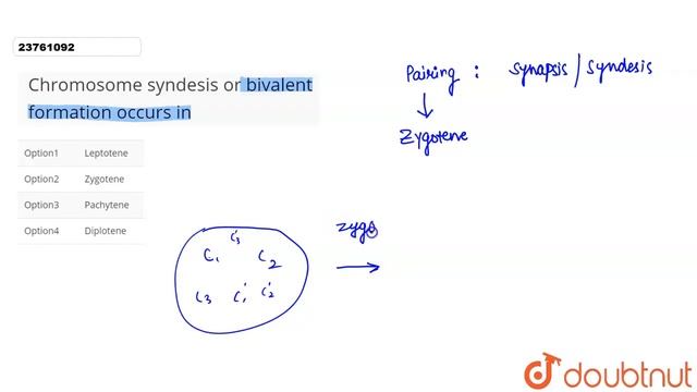 Chromosome syndesis or bivalent formation occurs in  | 12 | CELL CYCLE (CELL DIVISION) | BIOLOGY...