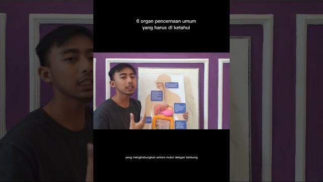 6 organ umum pencernaan manusia