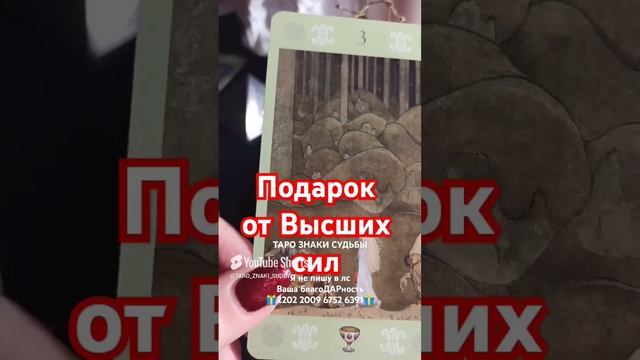 🎁Тебе подарок🎁