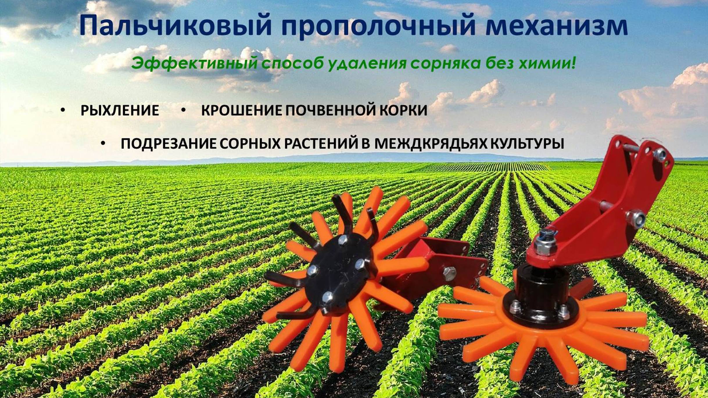 Сорняк уничтожаешь,Богатый урожай получаешь! Видео отзыв клиента - прополка перца 🌶Клиент доволен☺