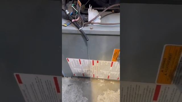 High Efficiency Furnace drain line is clogged which leads to pressure switch failure