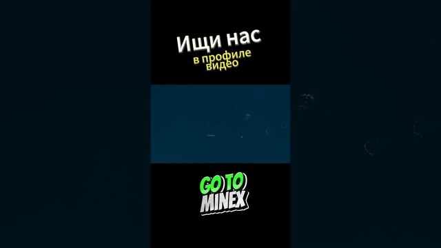 Очеь удачливый пингвин