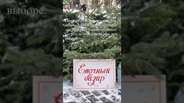 Лучше в первой половине дня