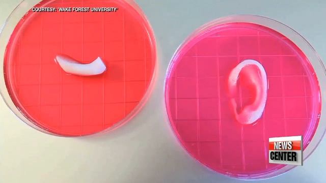 Living tissue created with 3D printer
