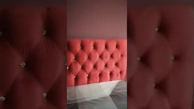 VID 20210402 WA0009Ирида