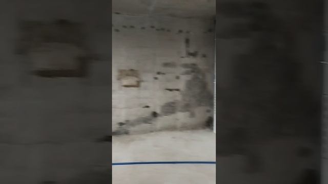 video_2024-11-13_10-33-17