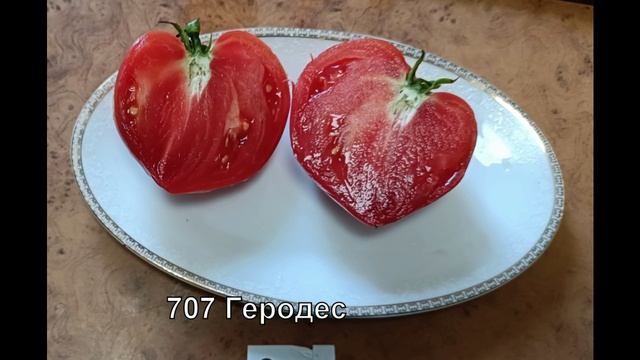Каталог семян томатов