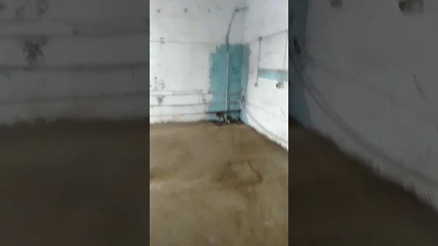 Подготовка цеха для инкубации карпа.