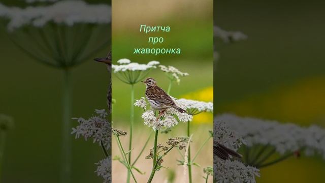 Ответы на твои вопросы💕