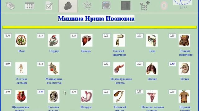 Домашняя диагностика Органы