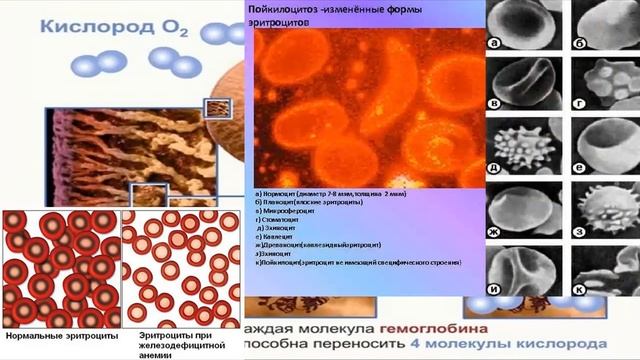 газообмен часть 2