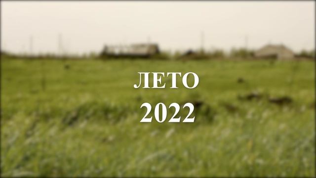 Каникулы в деревне