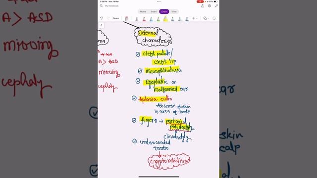 Patau Syndrome in one minute #neet #next #biology #fmge #usmle