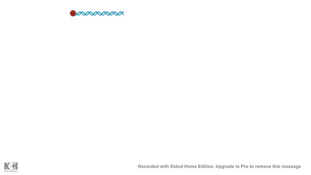 DNAse footprinting assay
