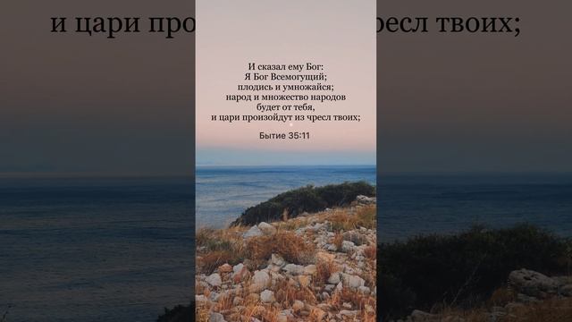 Цитаты из Библии. День 18 подкаста «Библия за год» – Сердце Израиля
