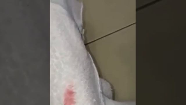 ЭКО Гринвей