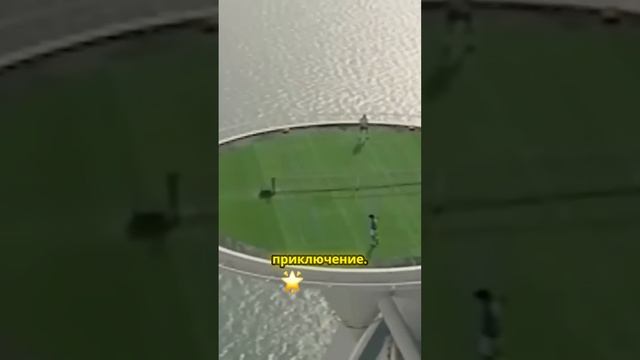 Невероятное_великолепие_Дубая_цветочный мир.