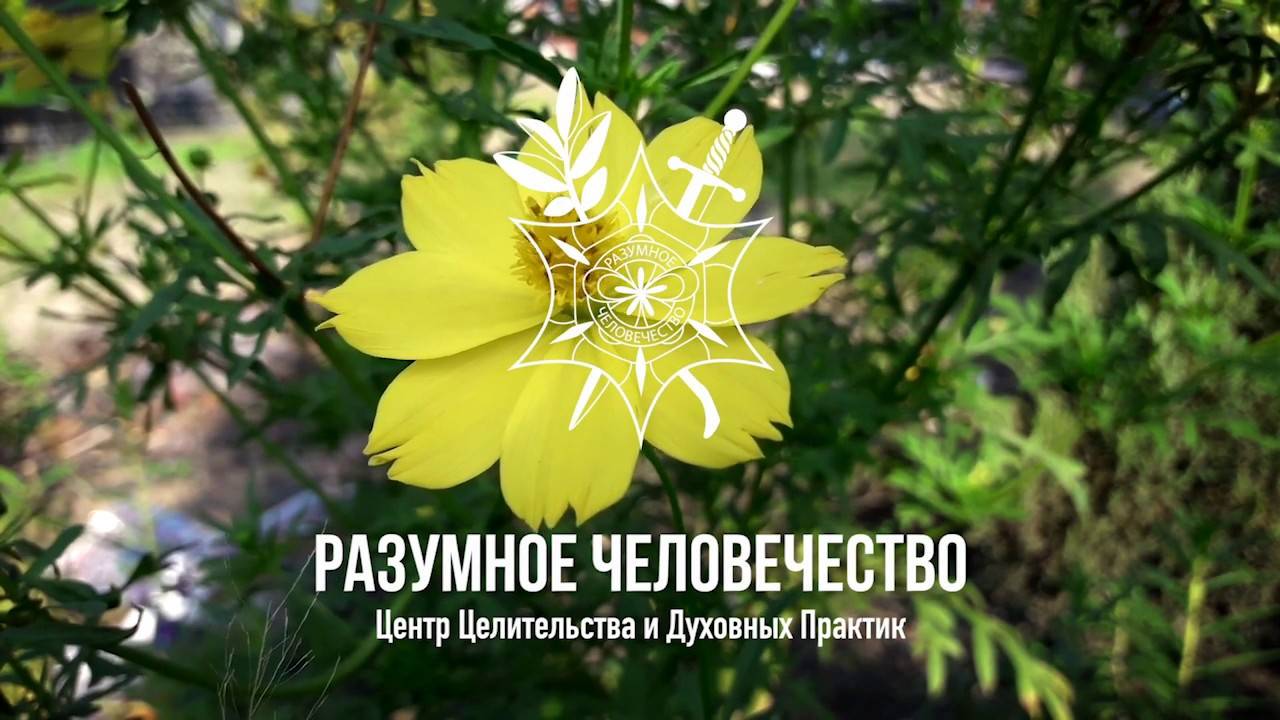 Малый Небесный Круг